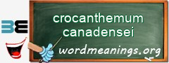 WordMeaning blackboard for crocanthemum canadensei